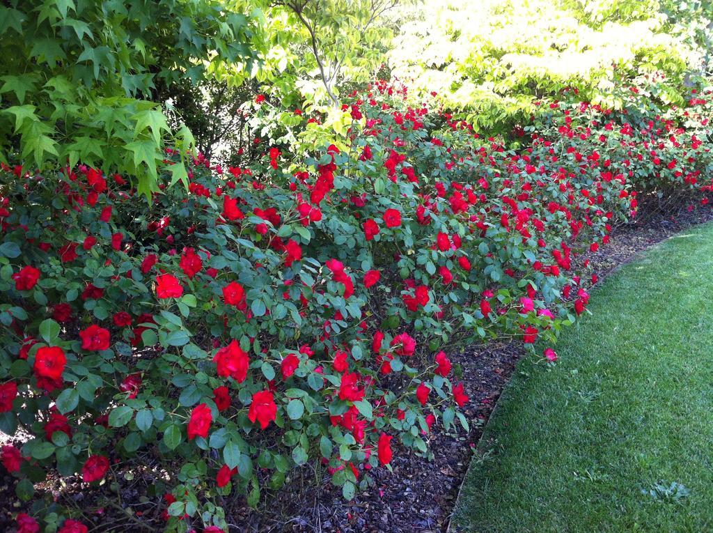 Relais Villa Annamaria Bed End Breakfast Istrana Exteriér fotografie